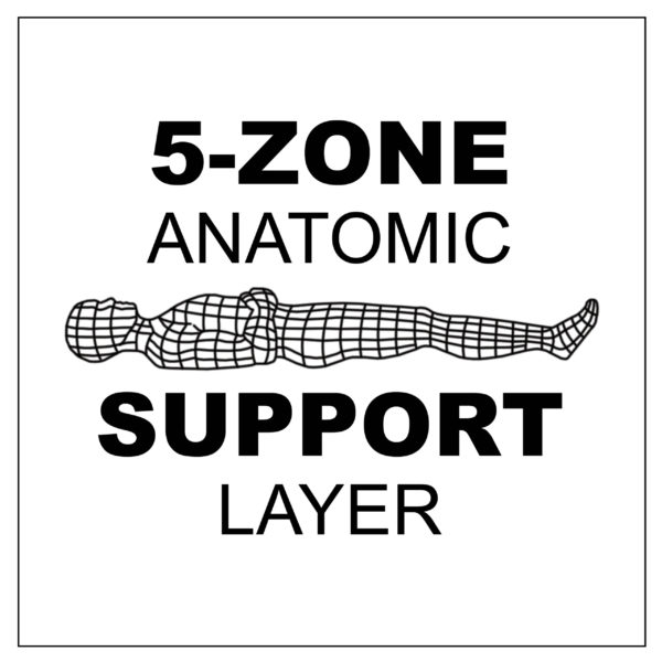5 Zone Anatomic Support