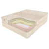 Allura Latex and Coil Mattress Cutaway