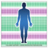 5-Zone Interactive Posture Grid