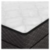 Flotasia Softside Waterbed