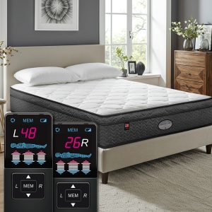 Princeton 9″ Plush Top Digital Air Bed
