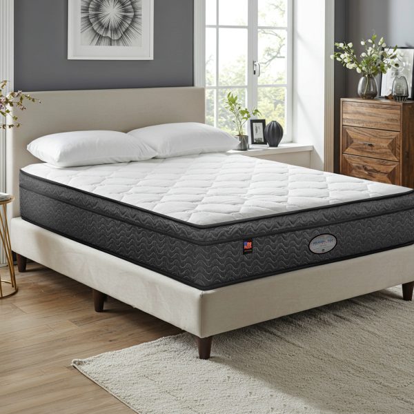 Princeton 9″ Plush Top Digital Air Bed