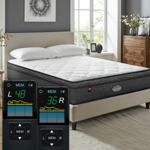 Princeton 9″ Plush Top Digital Air Bed