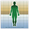 Multi-zoned Posture Grid