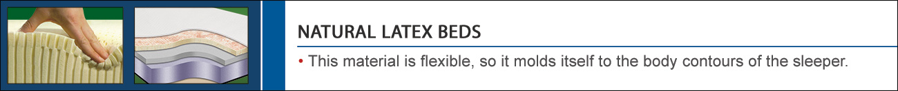 Natural Latex Support Beds Category