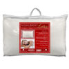 Natural Talalay Latex Pillow
