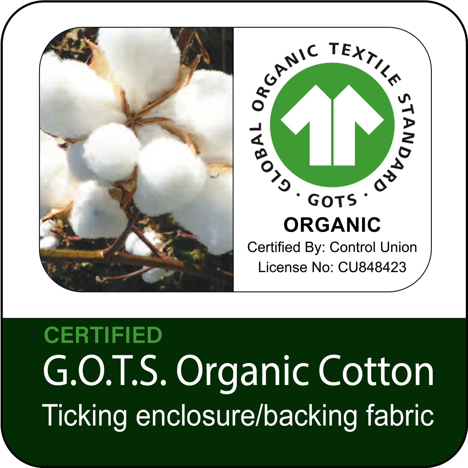 Certified G.O.T.S. Organic Cotton Ticking Enclosure Material & Backing Fabric