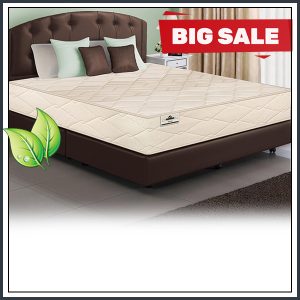 Natural & Organic Latex Beds