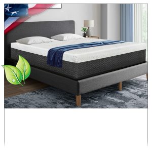 NATURAL LATEX SUPPORT BEDS