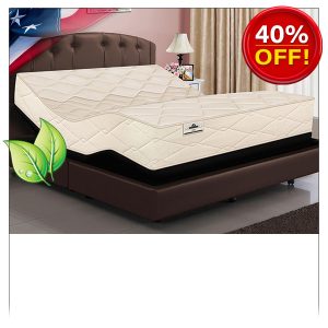 NATURAL LATEX ORGANIC BEDS WITH ADJUSTABLE POWER BASE