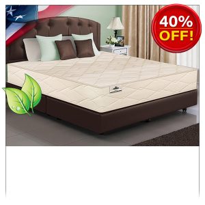 NATURAL LATEX ORGANIC BEDS