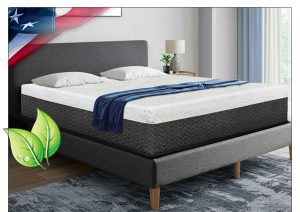 NATURAL LATEX SUPPORT BEDS