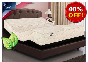 NATURAL LATEX ORGANIC BEDS WITH ADJUSTABLE POWER BASE