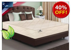 NATURAL LATEX ORGANIC BEDS